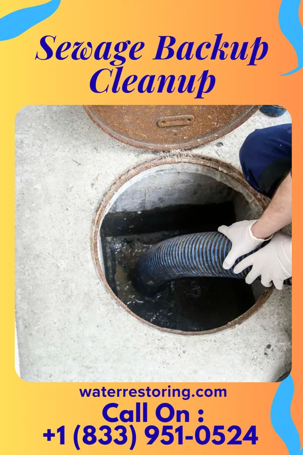 Sewage Backup Cleanup in Burlington, IN